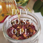 11 Beauty Benefits of Rose Petals – DIY Rose Oil Recipe for Beautiful Skin