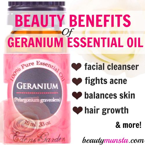 Beauty Benefits of Geranium Essential Oil