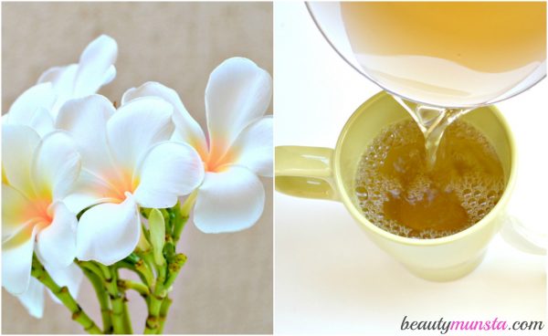 beauty benefits of green tea