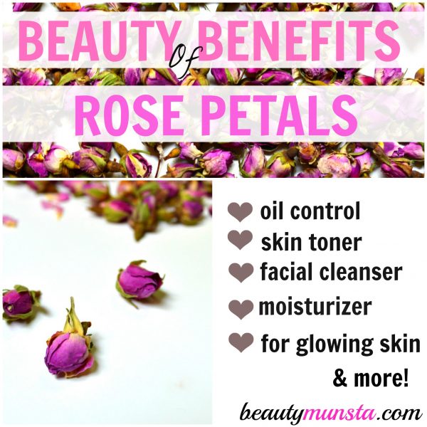 The beauty benefits of rose petals are truly amazing. Many expensive products have rose petal extracts in them, yet we can enjoy them at home with dry roses and incorporate them in our beauty routines.