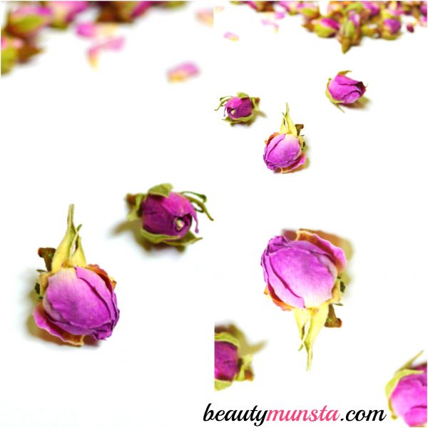 beauty benefits of rose petals