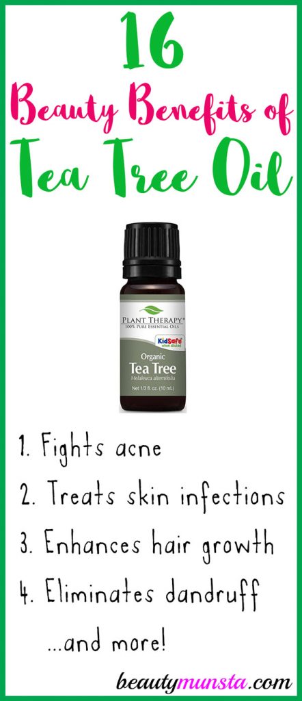 Discover 16 amazing beauty benefits of tea tree essential oil for skin, hair & more in this article! 