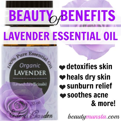 Find out the benefits of lavender essential oil for hair & more. Lavender essential oil is one of the most versatile and popular in the essential oils world.