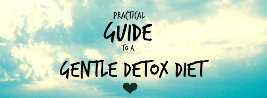 detox guide