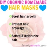 DIY Organic and Natural Homemade Hair Mask Recipes