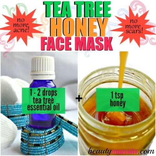 Healing Acne Tea Tree Oil Face Mask Recipes beautymunsta free natural beauty hacks and more!