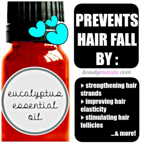 Eucalyptus essential oil stimulates the hair follicles, thereby promoting hair growth & reducing hair loss 