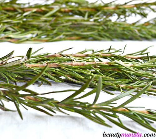 Rosemary essential oil is extracted from rosemary leaves and it's great for stimulating hair growth and regrowing bald patches.