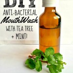 DIY Mint Tea Tree Mouthwash Recipe with Xylitol