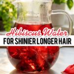 How to Use Hibiscus for Hair Growth | DIY Recipes