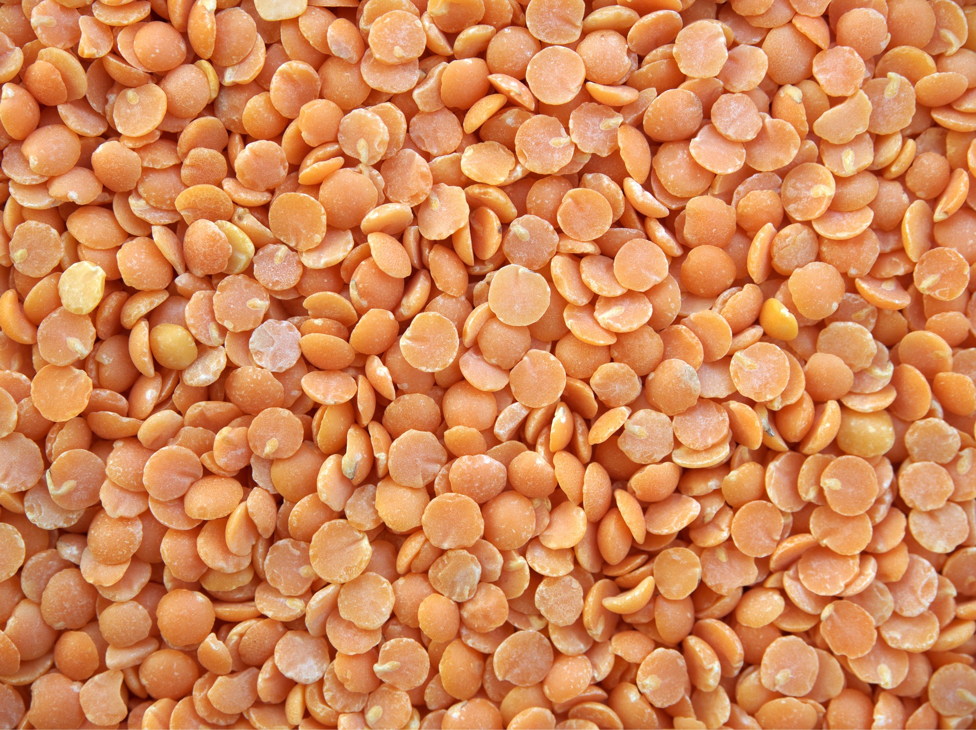 Lentils are quite and exotic food but extremely nutritious and very low in calories! They not only promote hair regrowth but also increase stamina! 