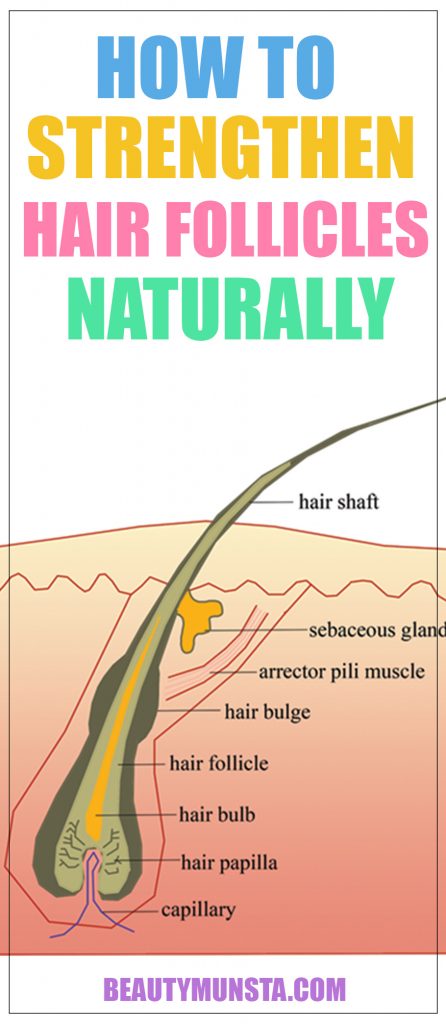 how to strengthen hair follicles naturally - beautymunsta - free natural  beauty hacks and more!