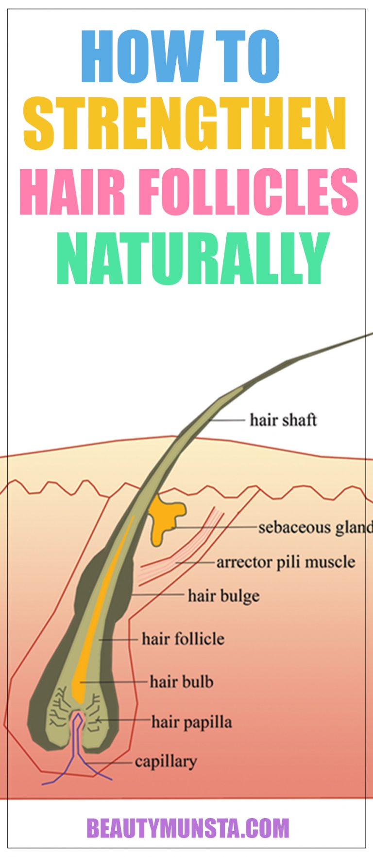 how-to-strengthen-hair-follicles-naturally-beautymunsta-free