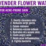 Benefits of Lavender Hydrosol for Acne | Properties & How to Use