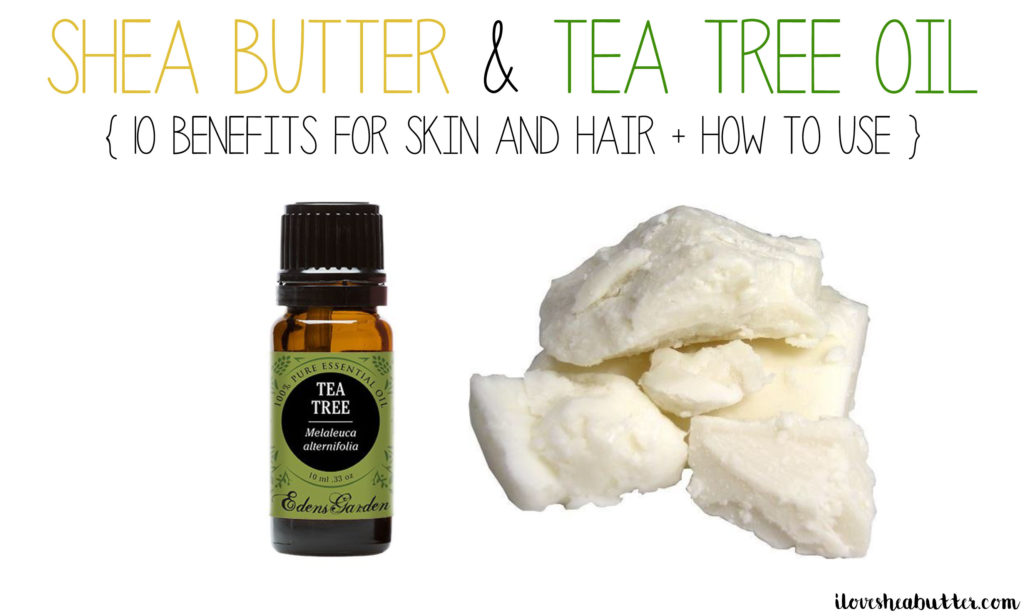 shea moisture tea tree oil