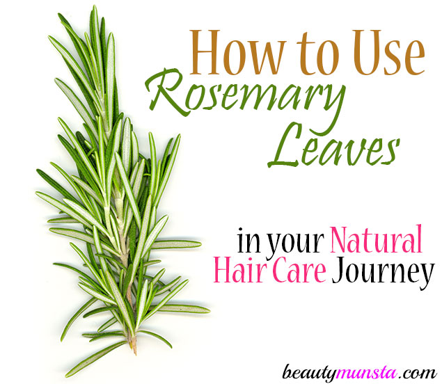 rosemary leaves for hair