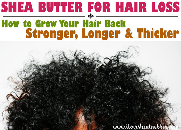 is shea butter good for hair loss