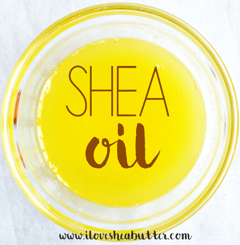 what is shea oil