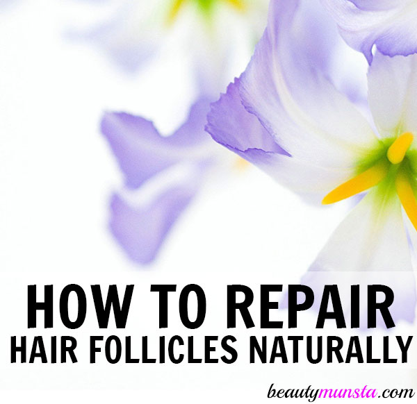 how to repair hair follicles naturally