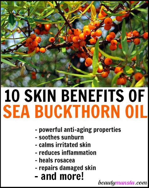 Find out 10 skin benefits of sea buckthorn oil! It's good for skin rejuvenation, wrinkles, sunburn and more!