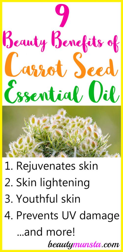 Let's discover 9 fascinating beauty benefits of carrot seed essential oil!