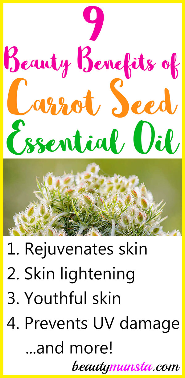 9 Beauty Benefits of Carrot Seed Essential Oil for Skin & Hair ...