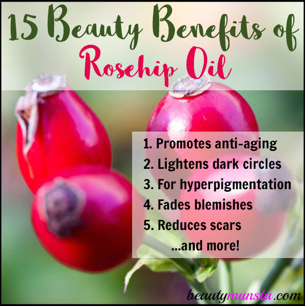 15 Beauty Benefits Of Rosehip Oil For Anti Aging Scars More Beautymunsta Free Natural Beauty Hacks And More