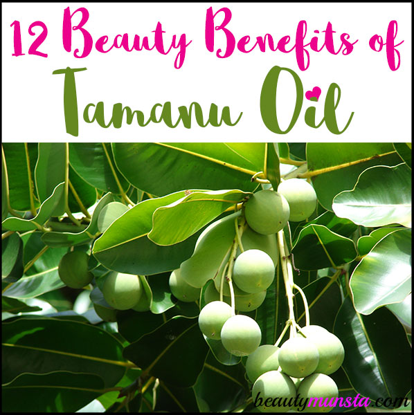 Find out 12 beauty benefits of tamanu oil for skin and hair in this post!