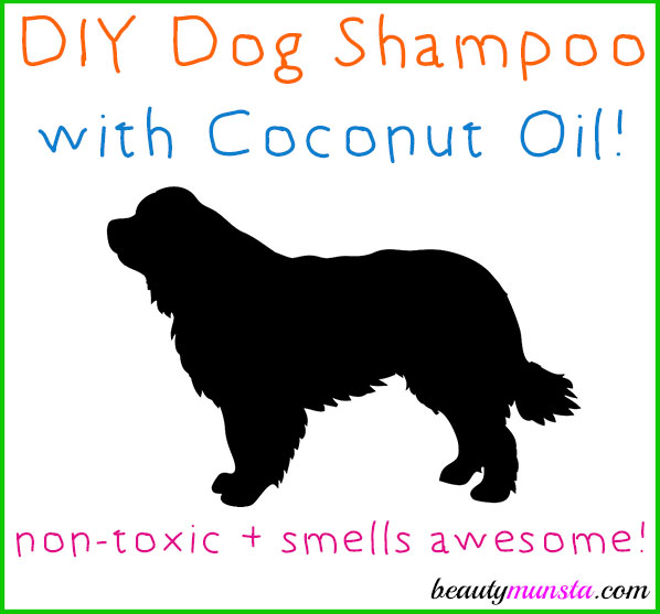 Homemade dog shampoo with coconut oil sale