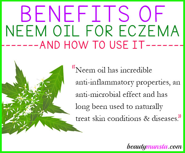 In this post, we’re going to look at how to use neem oil for eczema. In Ayurveda, the neem tree is called ‘The Village Pharmacy.’ And with good reason too! All of its parts are useful and have medicinal properties. 