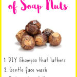 7 Beauty Benefits of Soap Nuts