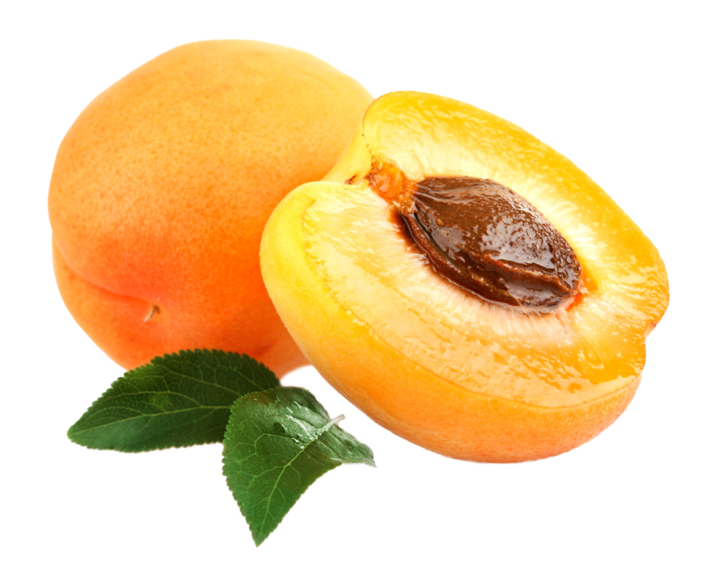 12 Beauty Benefits of Apricot Kernel Oil beautymunsta free natural
