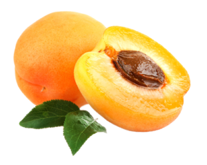 Apricots contain seeds/kernels that contain 40-50% oil