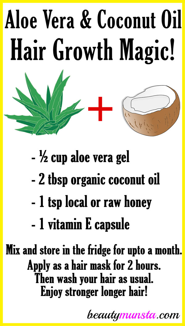 Aloe Vera And Coconut Oil For Hair Growth Beautymunsta Free Natural 