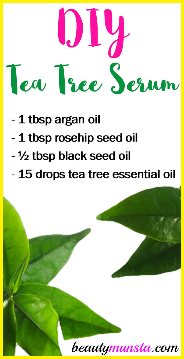 Fancy making your own DIY tea tree oil serum? Check out this fabulous recipe! 