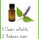 14 Less-Known Beauty Benefits of Patchouli Essential Oil for Skin & Hair