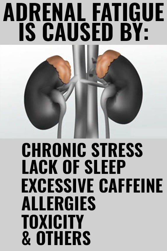 ADRENAL FATIGUE CAUSES