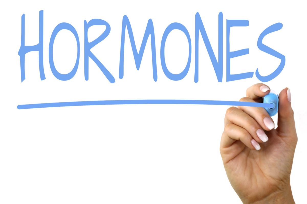 foods to regulate hormones