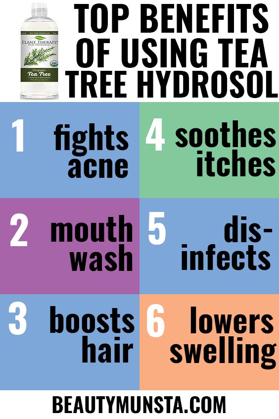 beauty benefits of tea tree hydrosol 