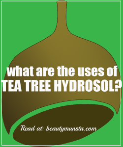 Top 7 Beauty Benefits of Tea Tree Hydrosol