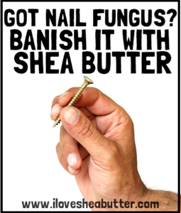 How To Use Shea Butter For Nail Fungus